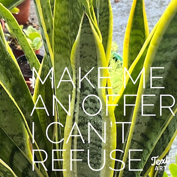 REASONABLE OFFERS👍 - Picture 3 of 13